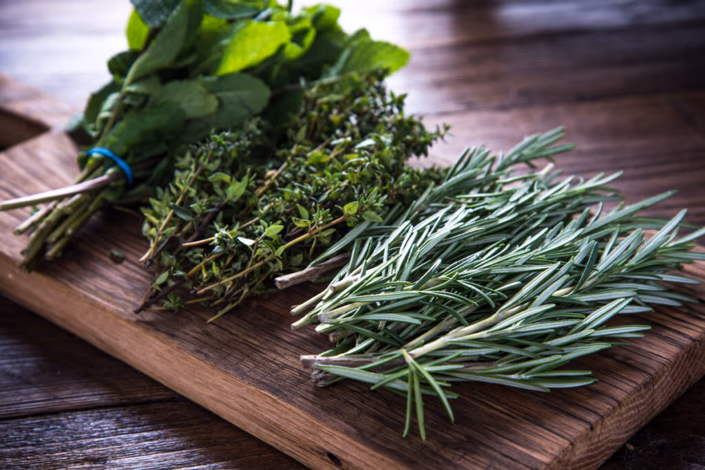 6 dicas para se alimentar bem na primavera