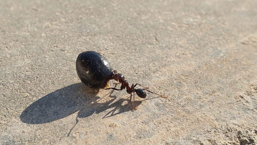 Cientistas não conseguem acreditar: Descoberta de uma criança de 8 anos muda a ciência para sempre - Créditos: depositphotos.com / GeorgeConst