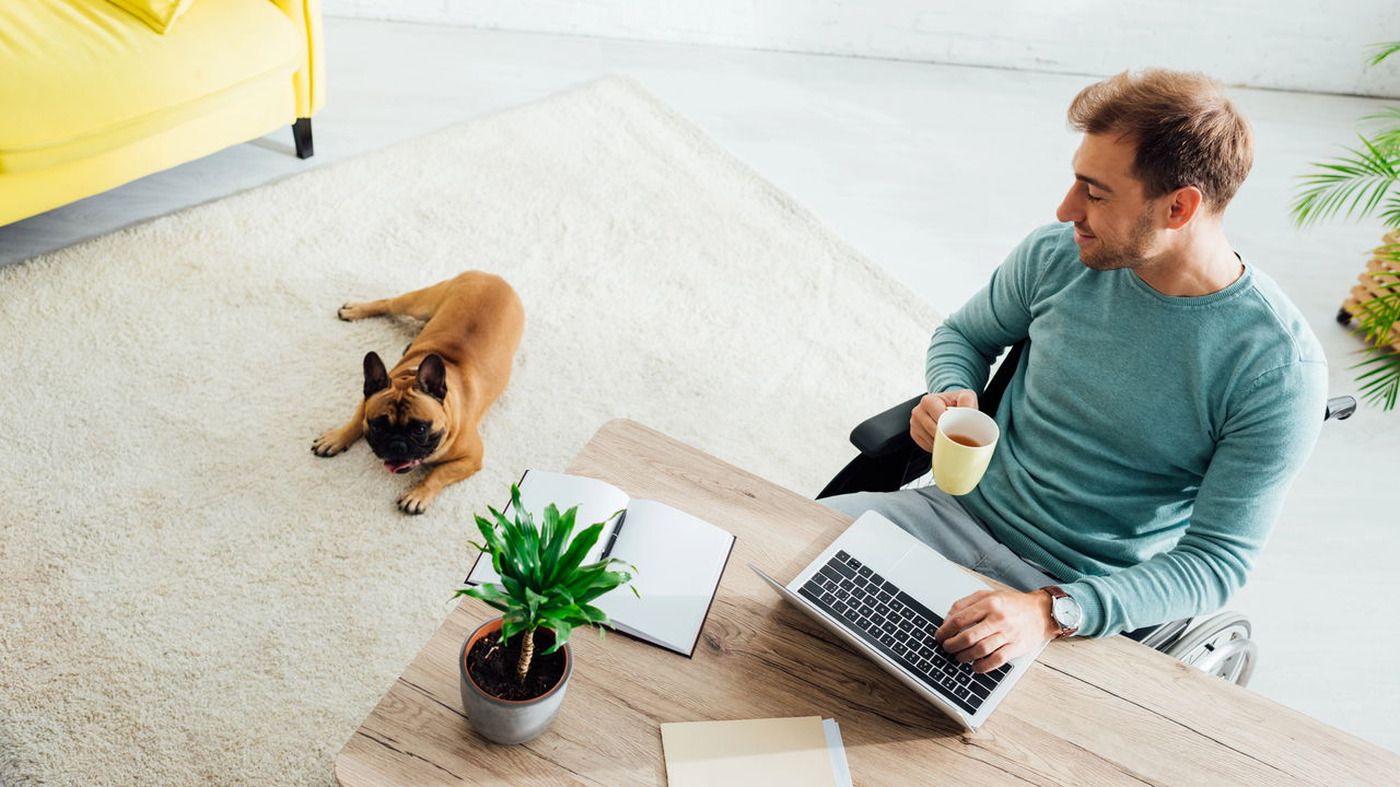 Profissões home office que pagam em dólar para brasileiros em 2025