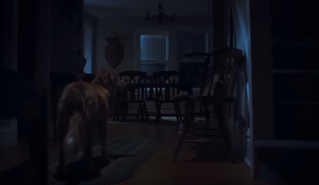 Um cachorro enfrenta o sobrenatural em ‘Bom Menino’, o terror mais inusitado do ano