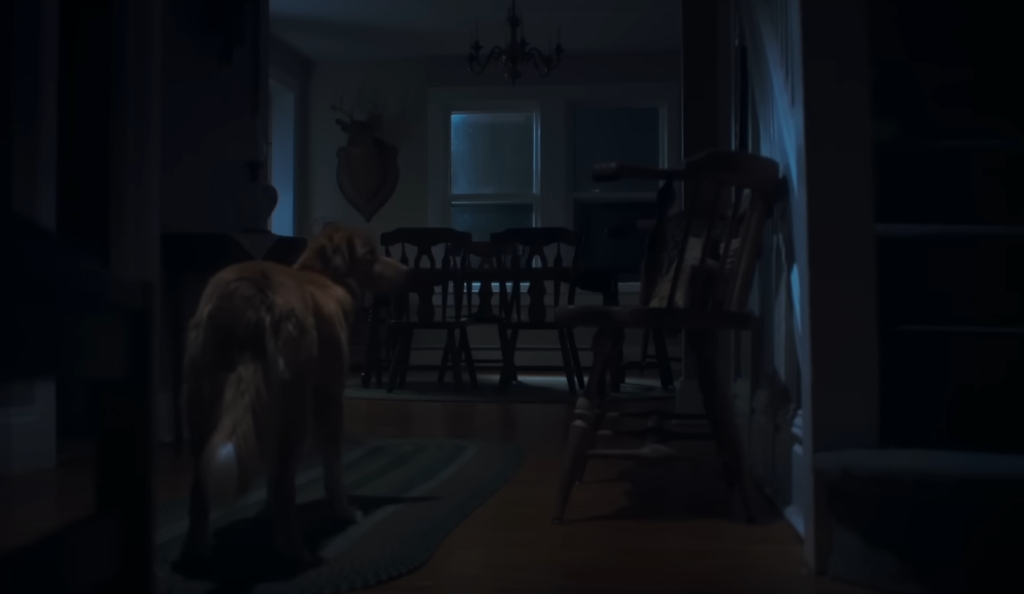 Um cachorro enfrenta o sobrenatural em ‘Bom Menino’, o terror mais inusitado do ano