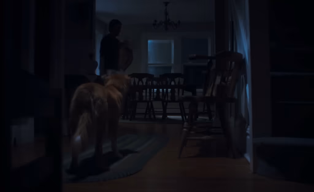 O filme de terror com um cachorro como protagonista que está surpreendendo o público