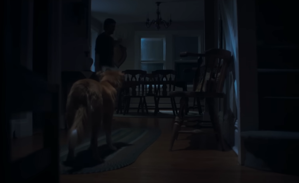 O filme de terror com um cachorro como protagonista que está surpreendendo o público