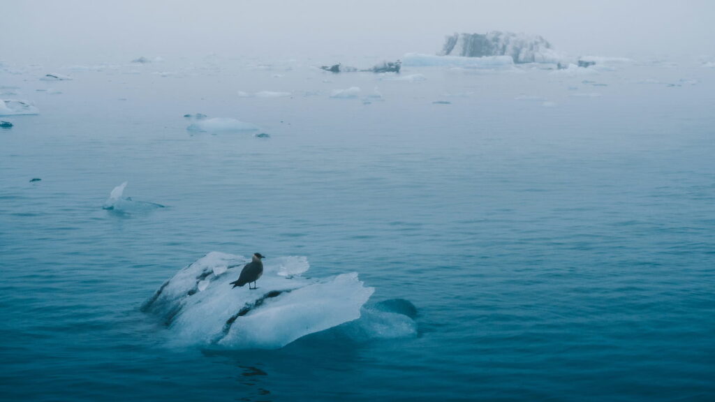 O gigante dos oceanos está ficando mais lento e isso muda tudo