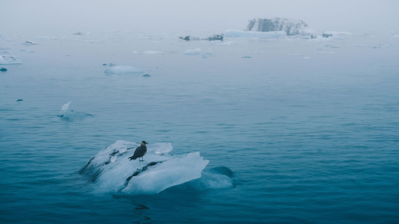 O Mar do Norte esconde revolução energética que pode mudar a Europa