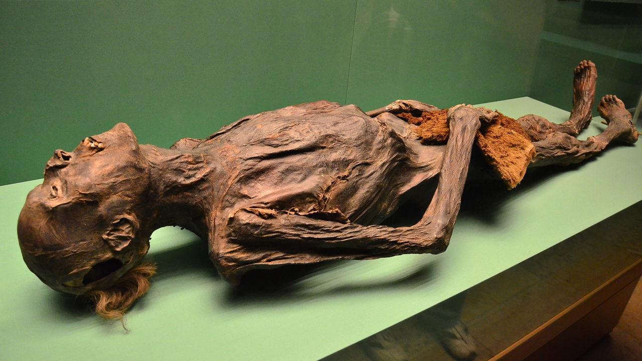 Cientistas encontram múmias com 7.000 anos com DNA diferente dos humanos modernos: "São de uma linhagem genética desconhecida"