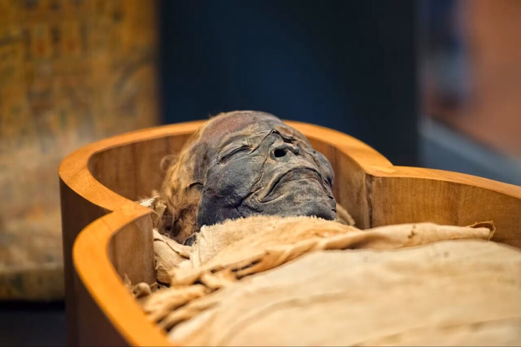 Cientistas encontram múmias com 7.000 anos com DNA diferente dos humanos modernos: "São de uma linhagem genética desconhecida"