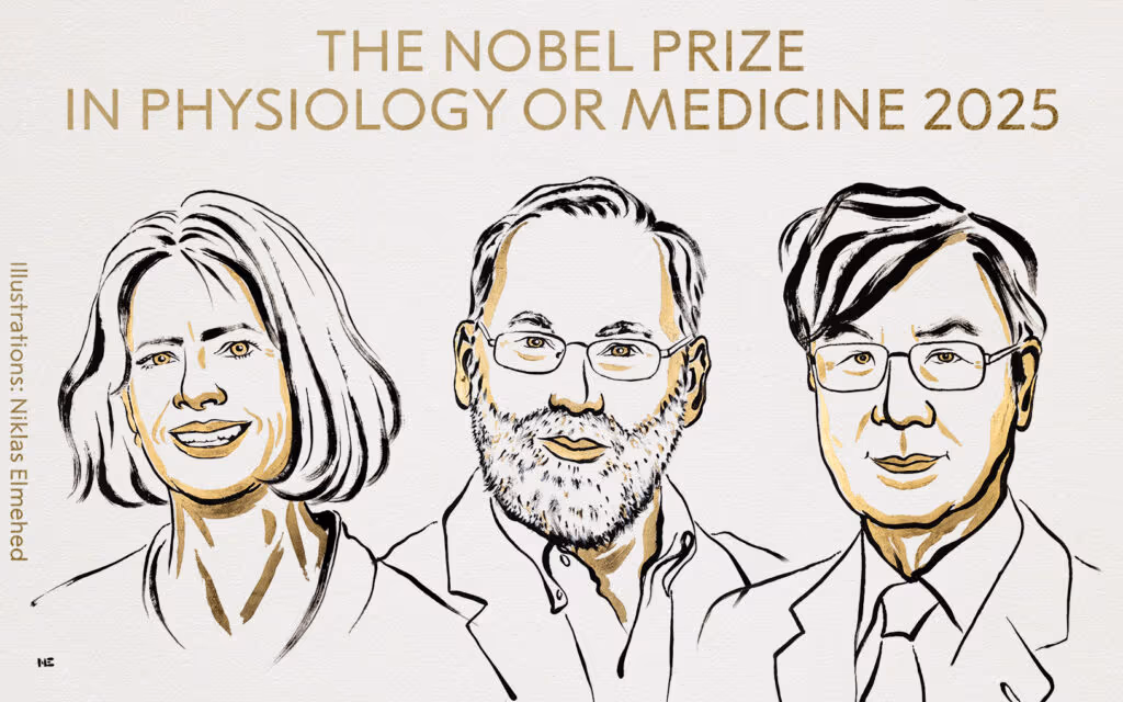 Nobel de Medicina premia descobertas sobre tolerância imune periférica