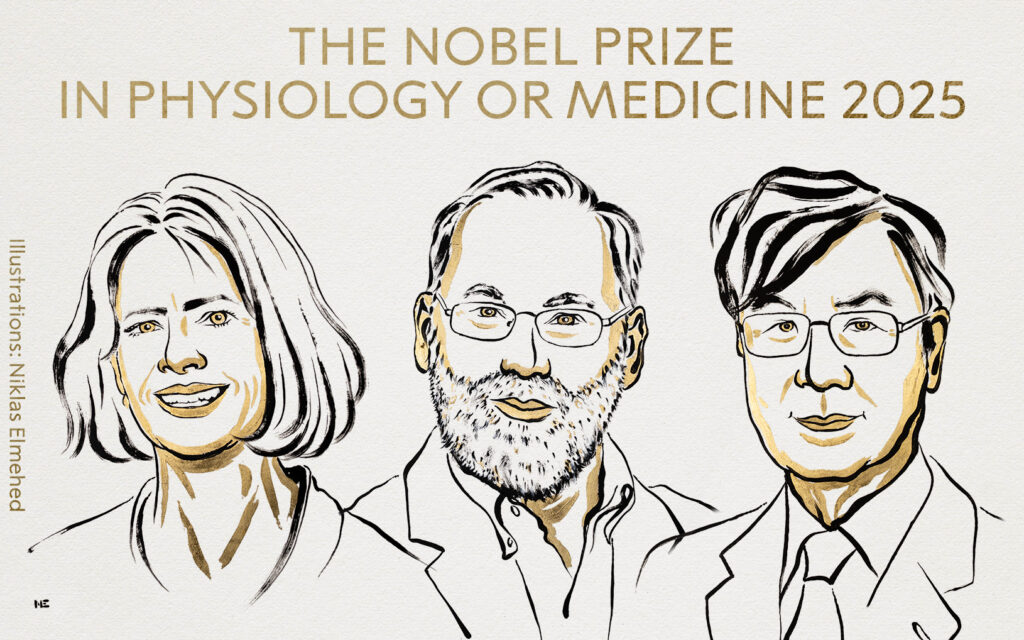 Nobel de Medicina premia descobertas sobre tolerância imune periférica