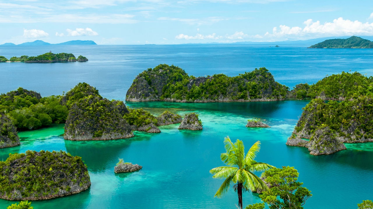 A nova serpente que pode redefinir as noções de biodiversidade