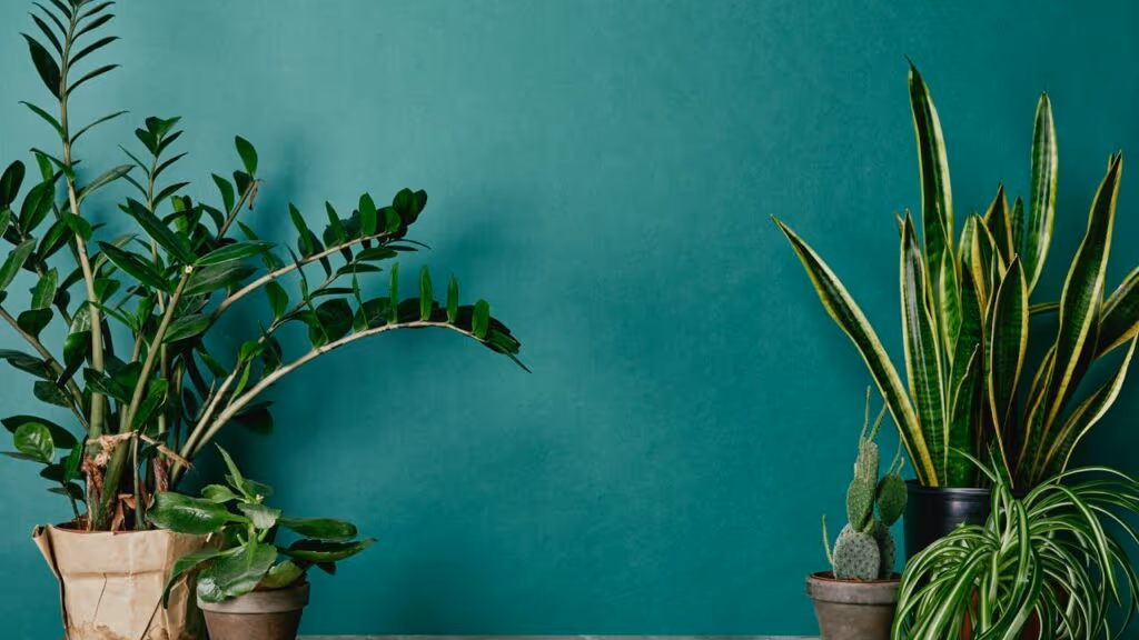 Este erro com luz LED mata plantas em apartamentos brasileiros