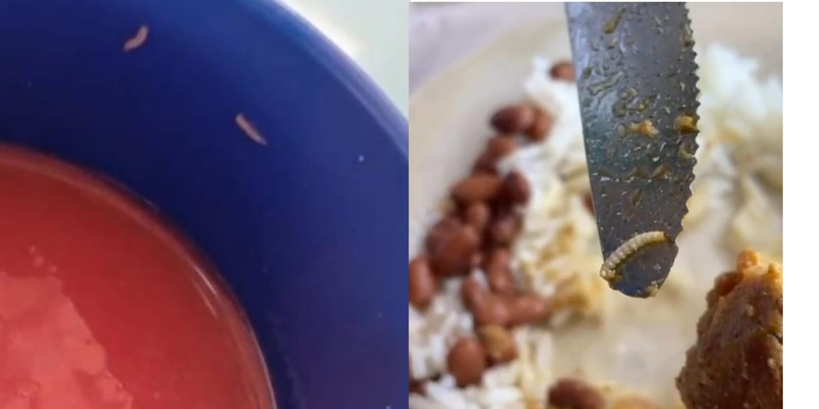 Alunos denunciam carne estragada e tapuru nas refeições de escola em Fortaleza