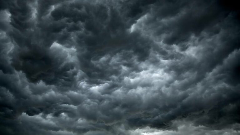 Imagem Item
