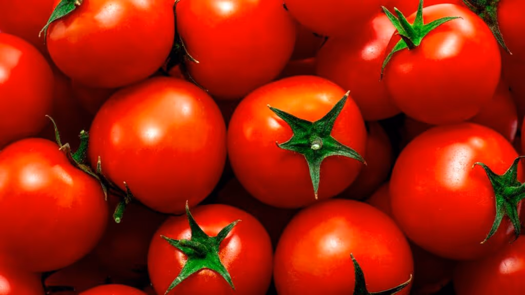 Colocar o tomate na geladeira: por que não é recomendado e o que considerar ao armazenar