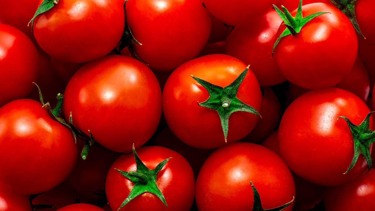 Colocar o tomate na geladeira: por que não é recomendado e o que considerar ao armazenar