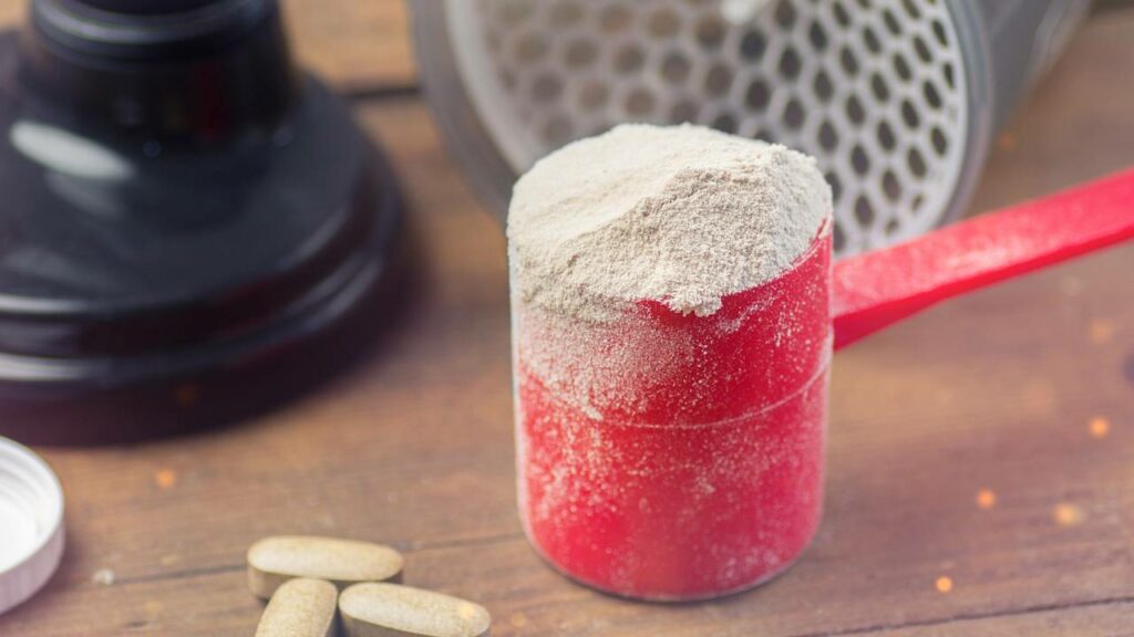 Em shakes, suplementos e barras de proteína: como o Whey afeta o intestino e a saúde de adolescentes a longo prazo