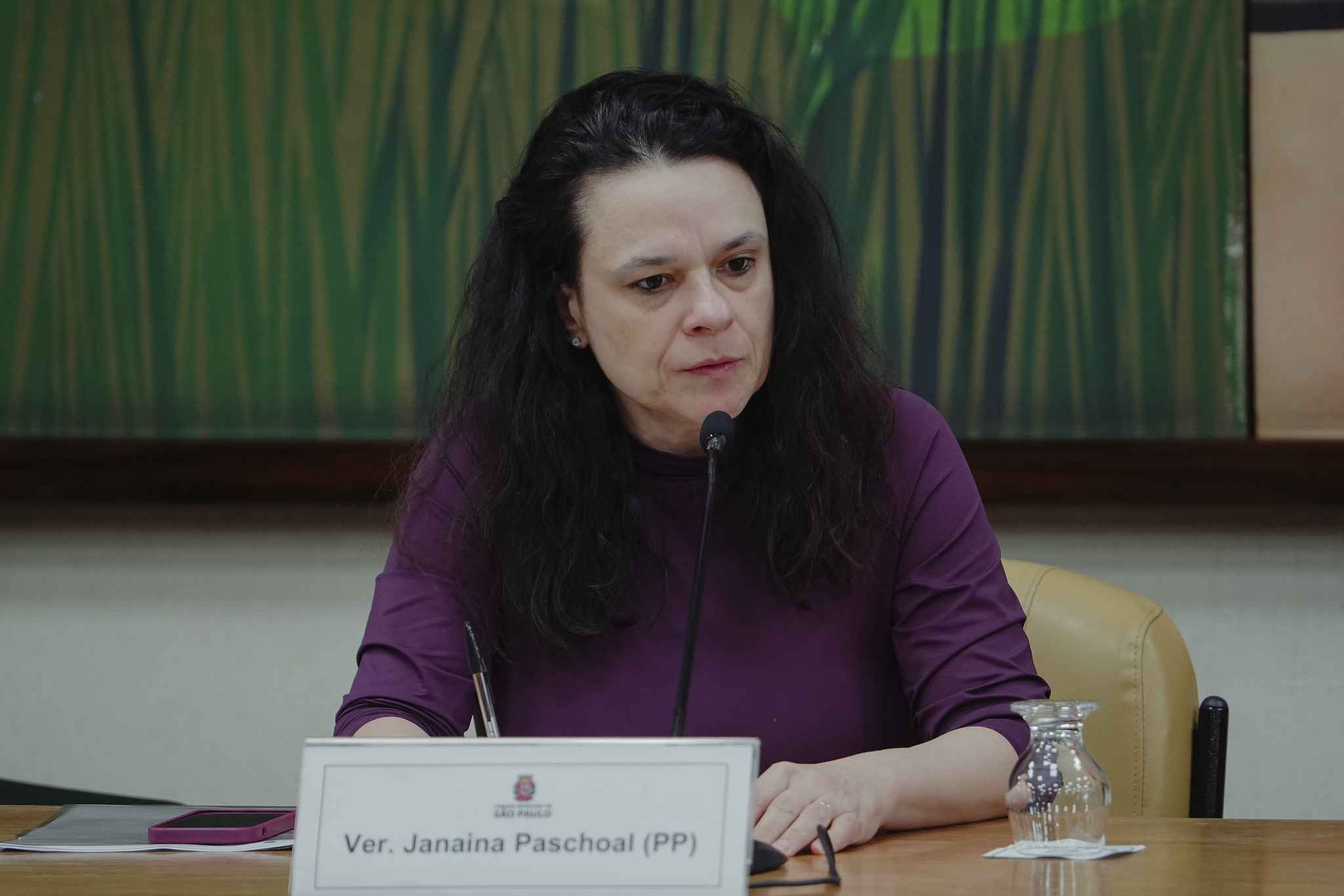 Janaina reclama de memes da esquerda sobre prisão de Bolsonaro