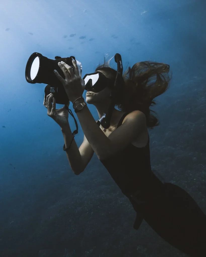Fotógrafa Rachel Moore captura fotos incríveis de baleias e tubarões