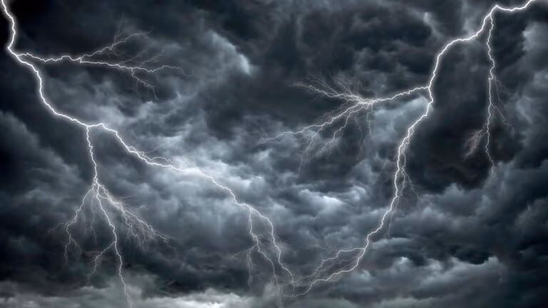 Imagem Item