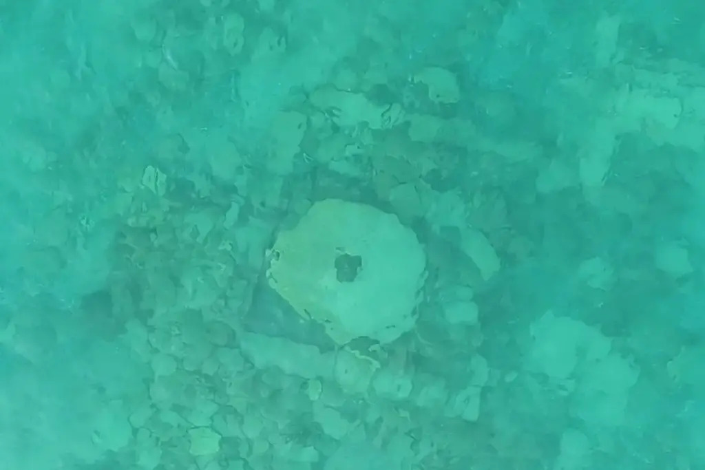 Arqueólogos fazem descoberta do século ao acharem metrópole semelhante à Atlântida no fundo de um lago.