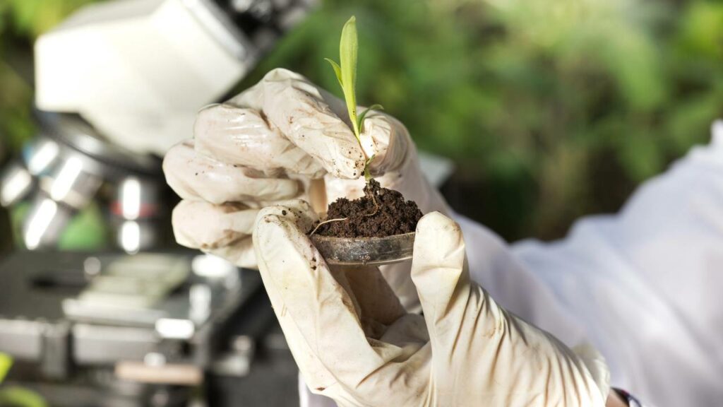 Cinco profissões ocultas de 2025 com salários acima da média