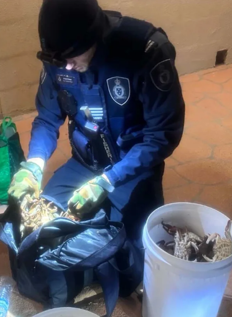 Pescadores enfrentam multas de mais de R$ 60.000 depois de serem pegos em flagrante
