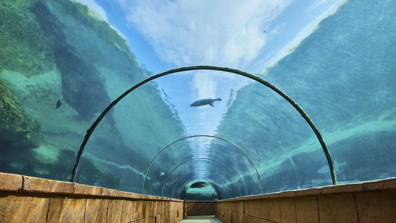 Construção do maior túnel subaquático do mundo com 396m vai começar