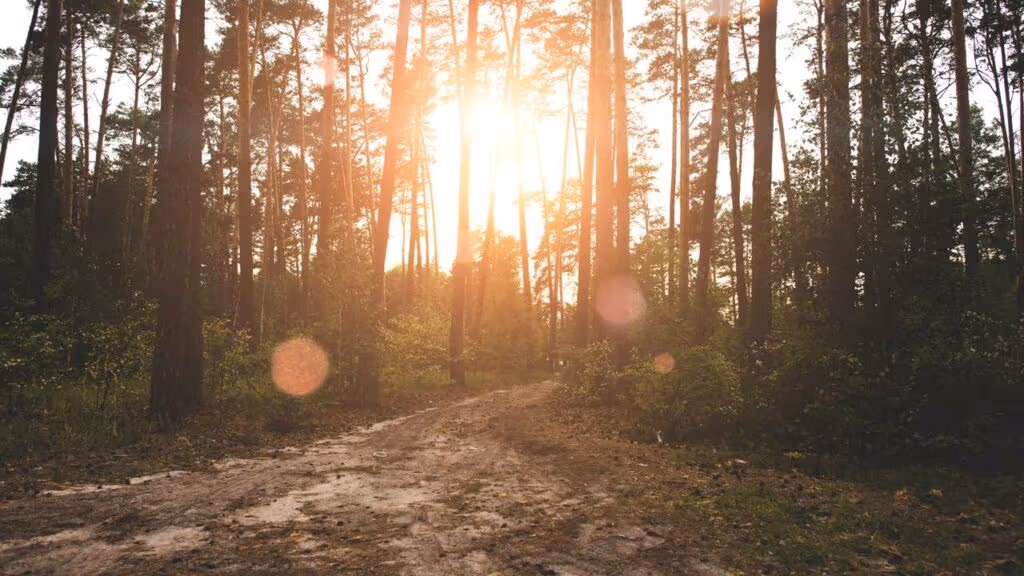 Família vivia feliz em uma cabana isolada, até que o ‘Justiceiro’ chegou e acabou com tudo