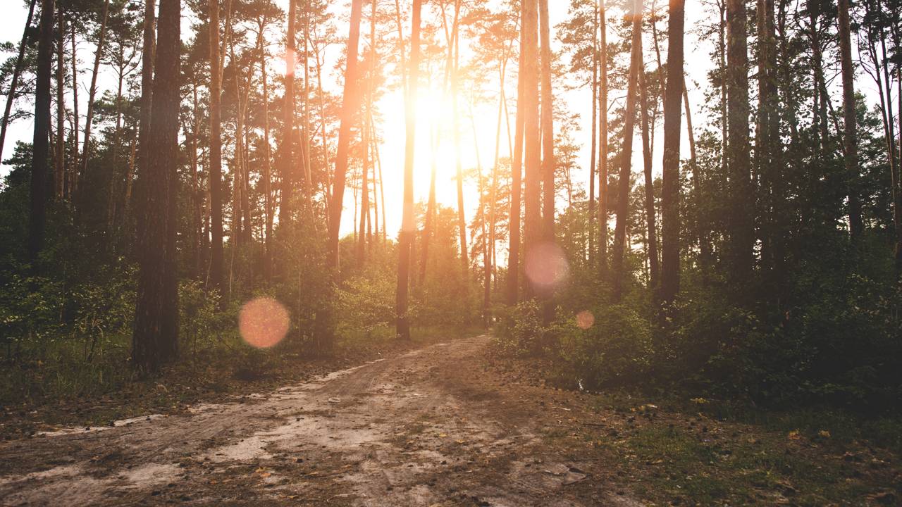 Família vivia feliz em uma cabana isolada, até que o ‘Justiceiro’ chegou e acabou com tudo