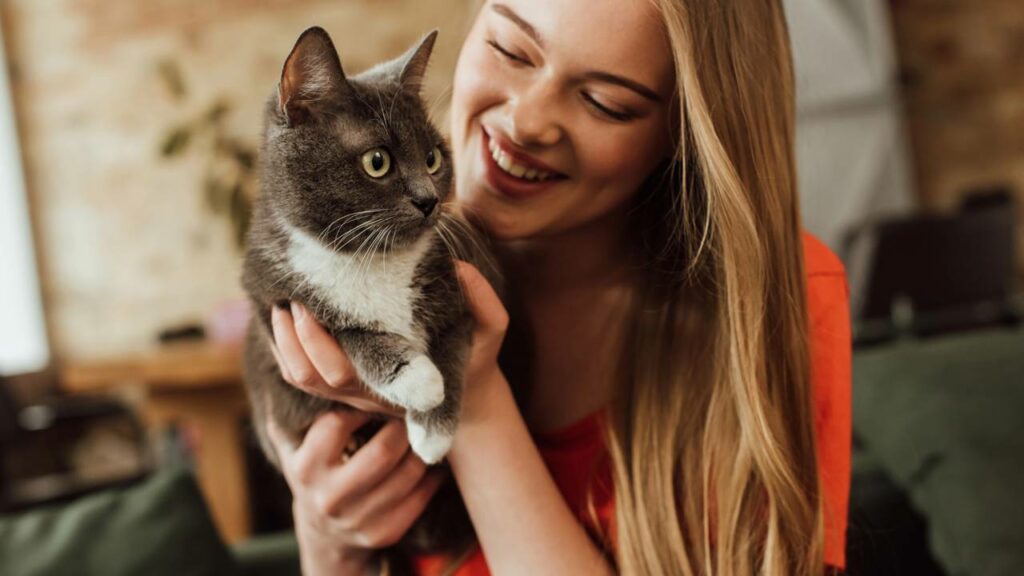Como saber se você é o favorito do seu gato em casa