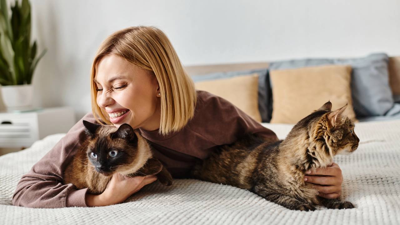 Cinco coisas que seu gato não gosta e fazem ele odiar você