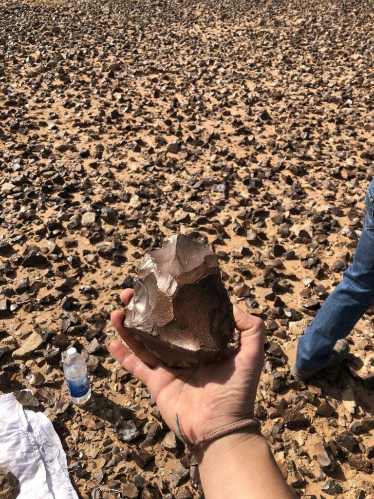 Machado de 1,5 milhão de anos é descoberto no deserto do Iraque
