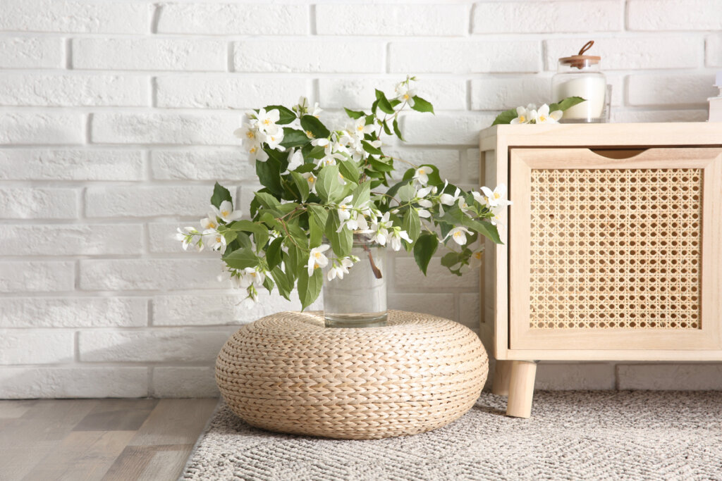 15 espécies de plantas para melhorar a energia da casa