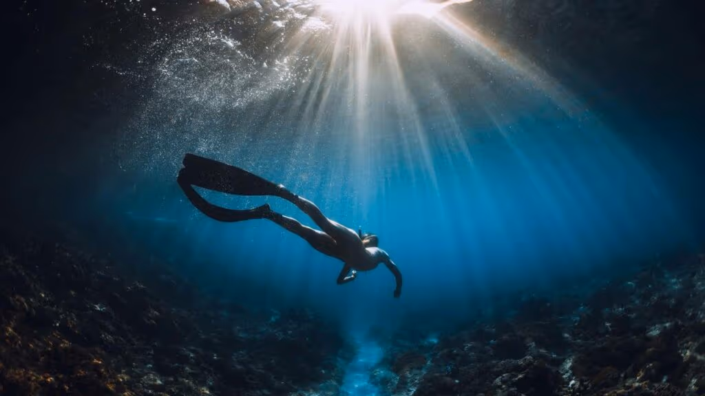 Mergulhador tem encontro surpresa com uma cobra rara e exótica no meio do mar