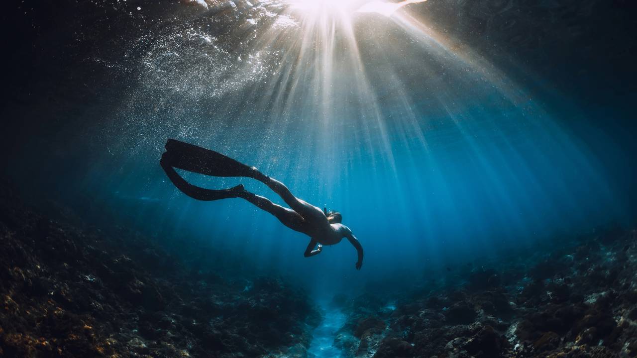 Mergulhador tem encontro surpresa com uma cobra rara e exótica no meio do mar