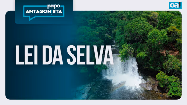 Papo Antagonista: Lei da selva