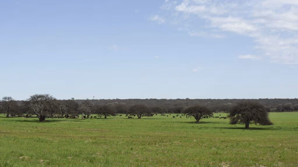 Sistema de permissões transformará o turismo nos Parques Nacionais