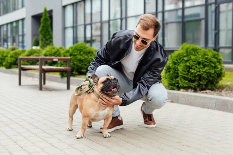 Seu cachorro é tímido? Veja 7 dicas para torná-lo mais sociável 
