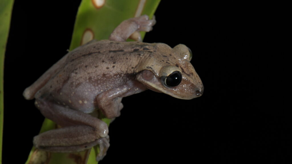 Você pisa perto disso todo dia e não sabe o risco mortal