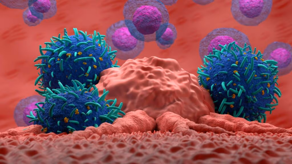 Primeira medula óssea humana feita em laboratório vai estudar tratamento para vários tipos de câncer