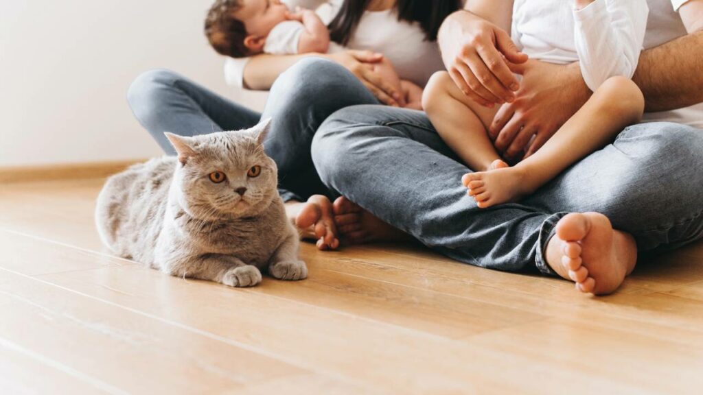 Quem é mais saudável entre aqueles que não têm filhos ou aqueles que têm