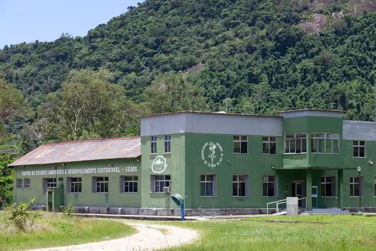 Ilha Grande se torna refúgio de conservação de morcegos no Brasil