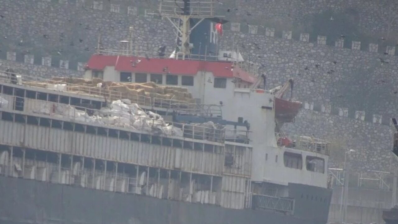 Quase 3000 vacas do Uruguai estão presas em cargueiro na Turquia