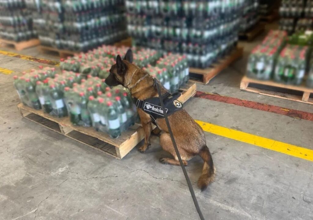 Receita Federal apreende cocaína diluída em garrafas de refrigerantes