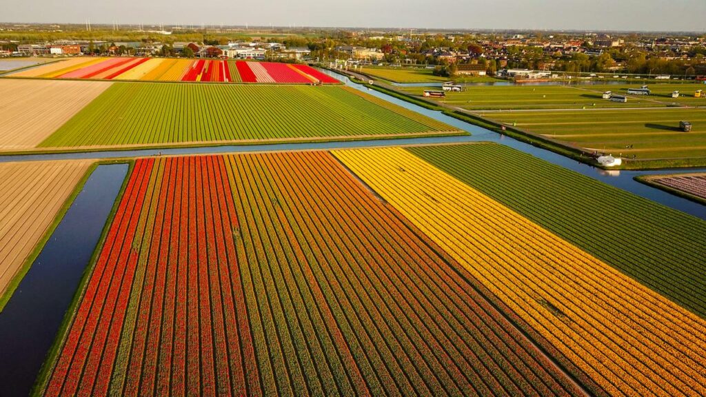 Como um pequeno país se tornou o segundo maior exportador agrícola do mundo