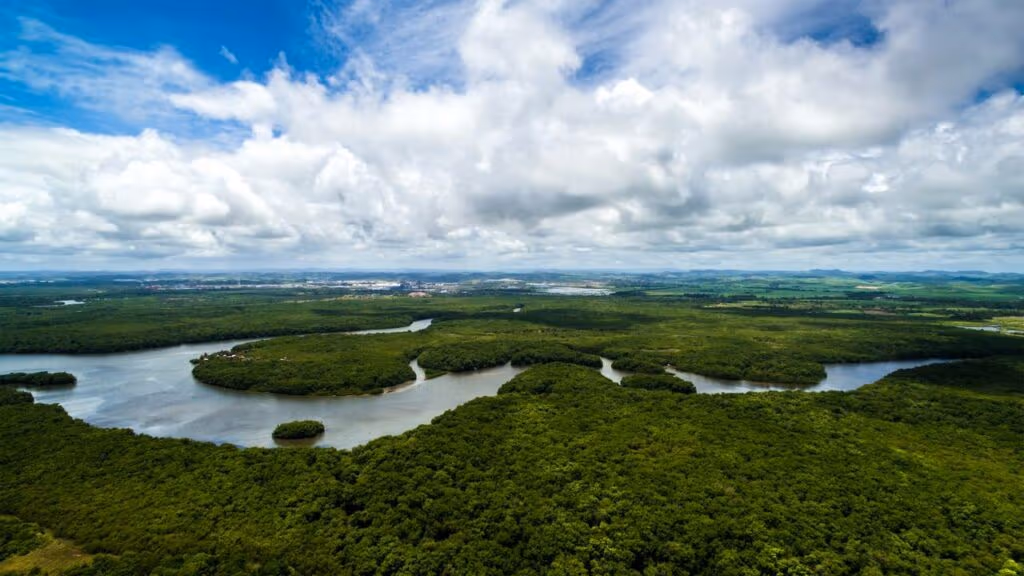 Ele tem 83 anos e vive isolado na selva, sem energia, com seus animais, plantando sua própria comida