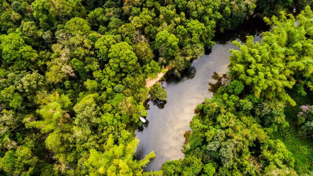 Esse é o Brasil que você precisa conhecer