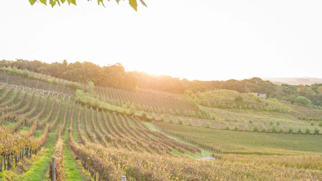 Vinho do bom e clima acolhedor tornam essa cidade uma experiência inesquecível
