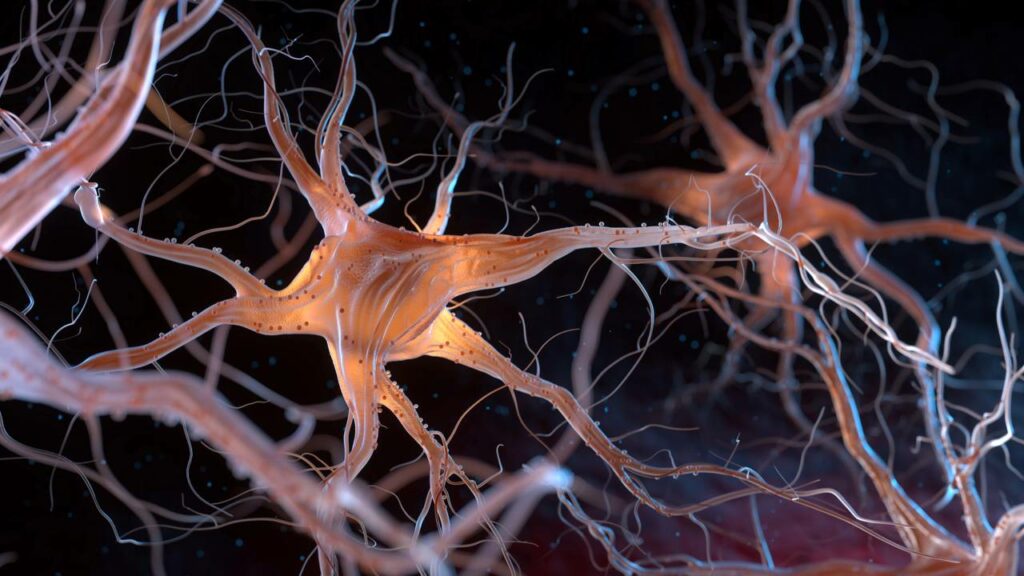 Cientistas rejuvenescem células imunes e reduzem sintomas de Alzheimer em ratos