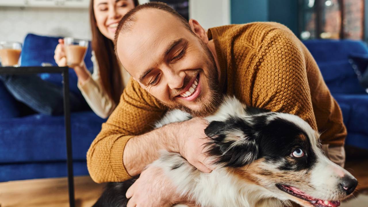 Como saber se seu cão te ama de verdade?